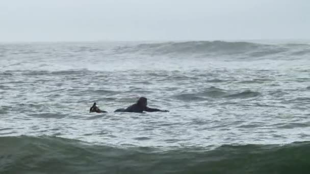 바다에서 파도타기를 하는 잠수복을 입은 스턴트맨 — 비디오
