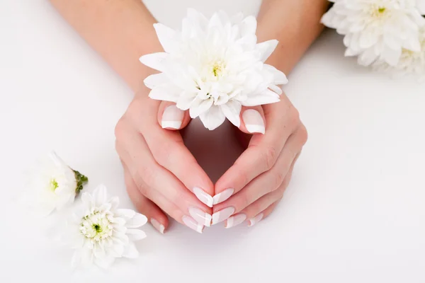 Elle beyaz çiçek — Stok fotoğraf