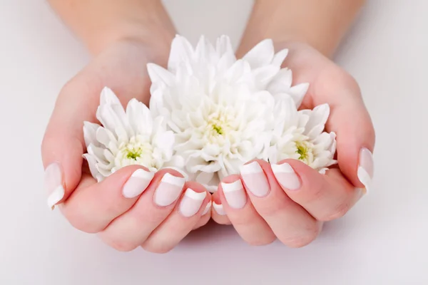 Bílý květ s rukama — Stock fotografie