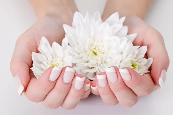 Elle beyaz çiçek — Stok fotoğraf