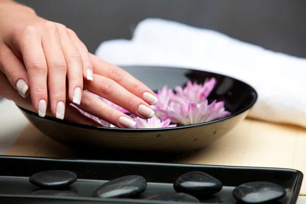 Tangan Spa.Manicure konsep — Stok Foto