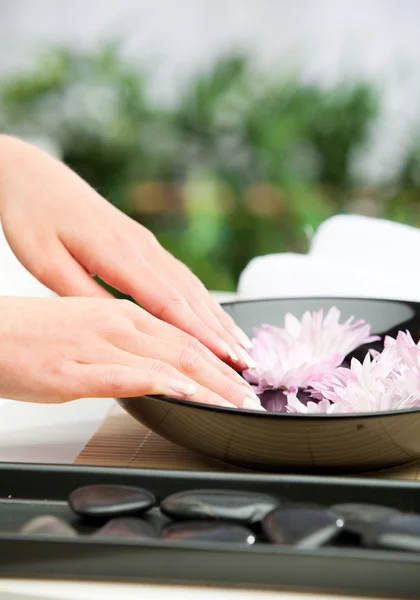 Hands Spa.Manicure concept — Stock Photo, Image