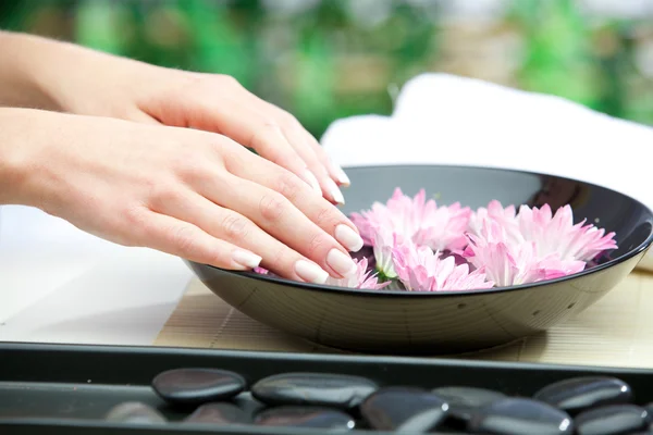 Hands Spa.Manicure concept — Stock Photo, Image