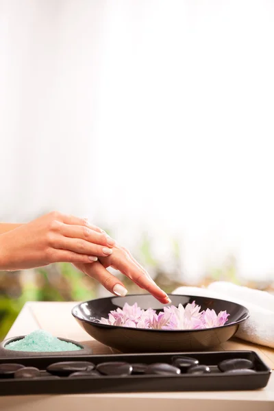 Spa procedure — Stock Photo, Image