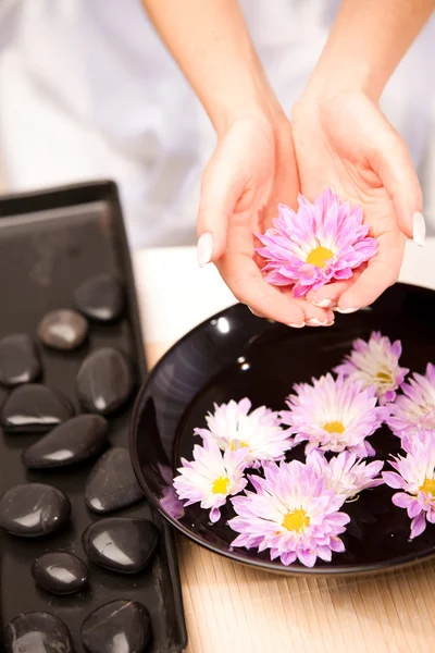 Spa for hands — Stock Photo, Image