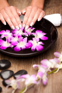 Aromaterapi kavramı