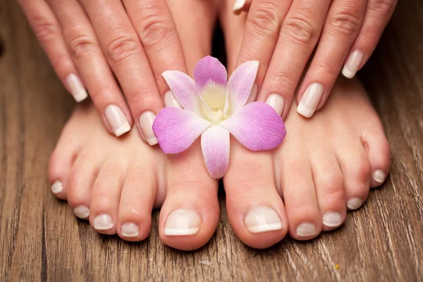 Ontspannende roze manicure en pedicure met een orchideebloem — Stockfoto