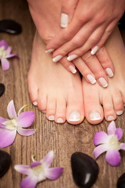 Ontspannende roze manicure en pedicure met een orchideebloem — Stockfoto