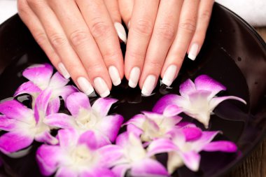 Aromaterapi kavramı