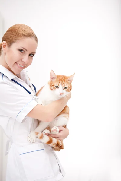 Pet doctor — Stock Photo, Image