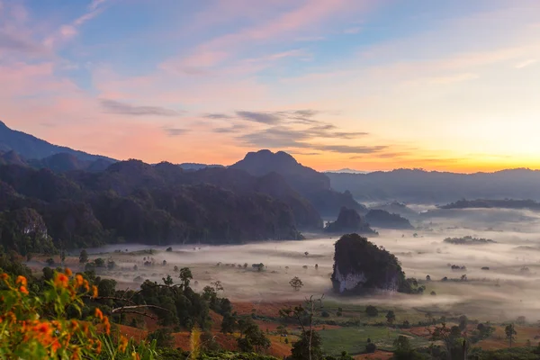 Güneş sabah sis üzerinde