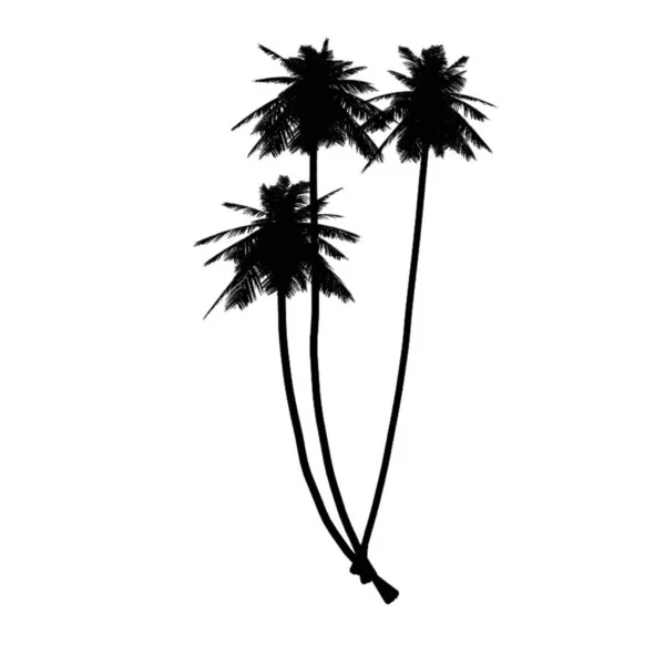 Illustration Three Black Color Palm Trees White Background — 图库照片