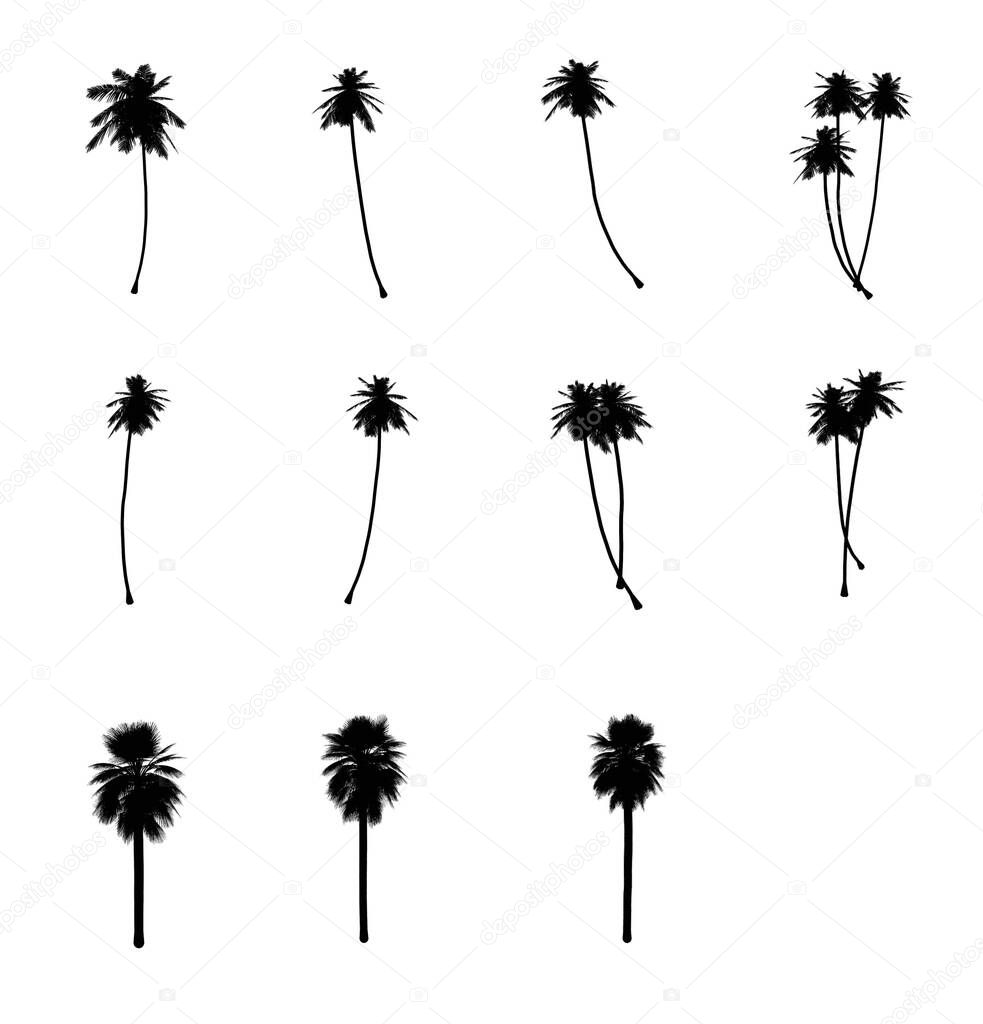 set of trees and palms illustration on white background