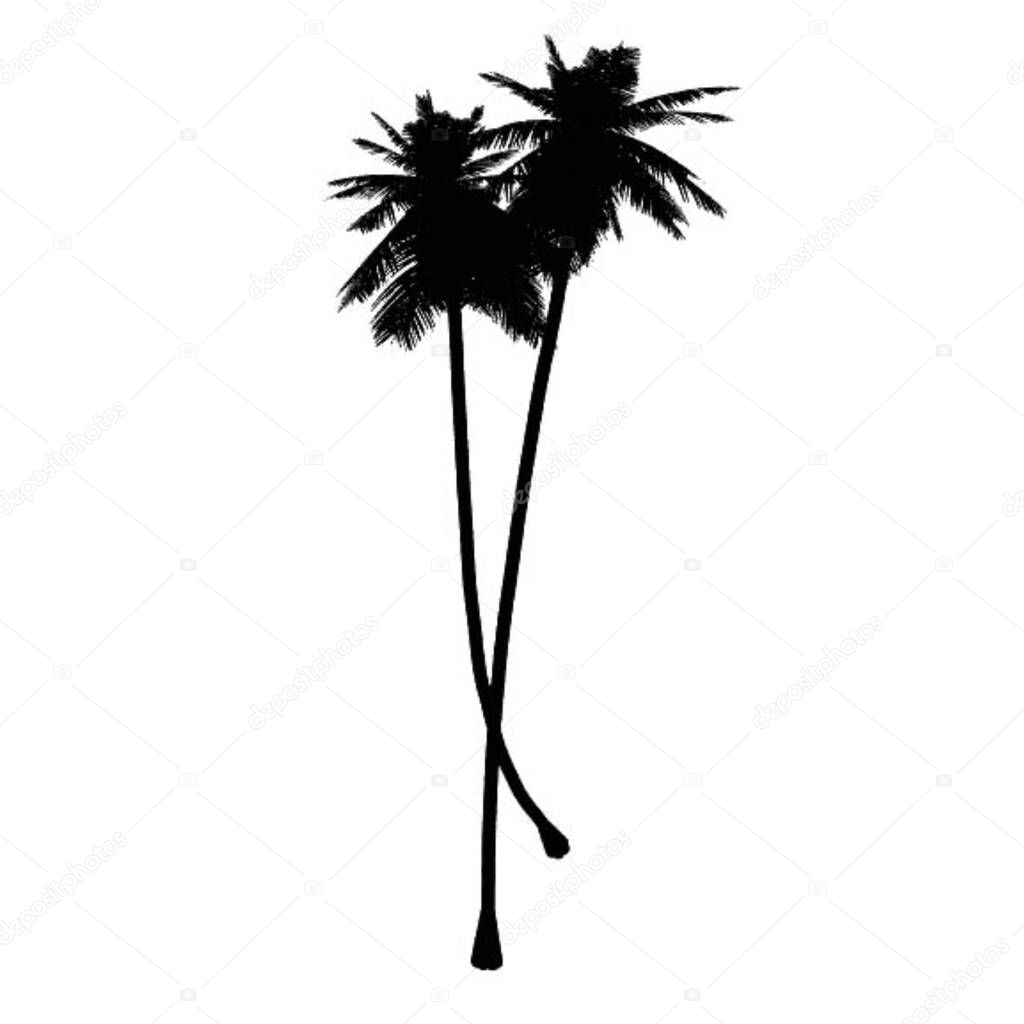 illustration of two black color palm trees in white background