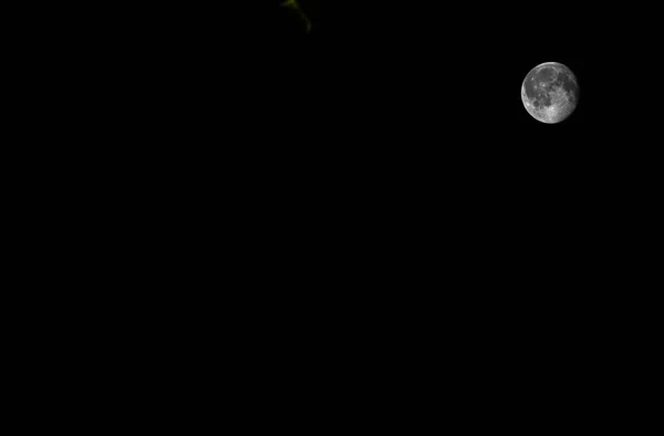 Маленькая Луна Космосе Высоком Разрешении — стоковое фото