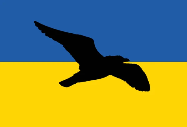 黒鳩の平和飛行でウクライナの旗は — ストック写真