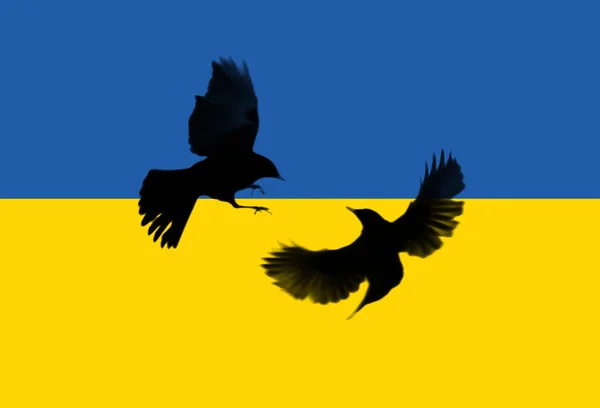 Bandiera Ucraina Con Colombe Nere Che Combattono — Foto Stock