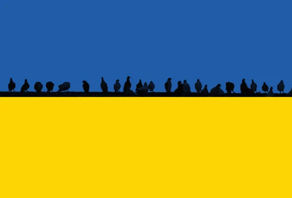 Ukrán Zászló Fekete Galambok Illusztráció — Stock Fotó