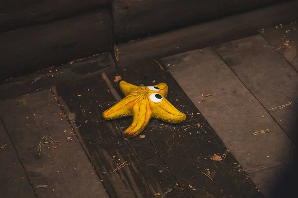 Üzgün yalnız oyuncak çimlerin üzerinde yatıyor.