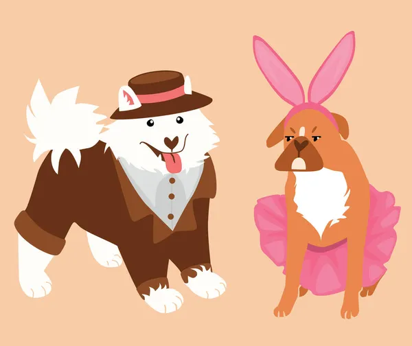 Kostümlü sevimli vektör köpekleri. Şapkalı Samoyed köpeği ve tavşan kulaklı bale elbisesi giymiş bulldog..