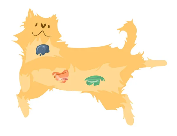 Köpek çizimleri için alternatif sağlık hizmetleri. Evcil köpek Reiki 'yi iyileştirir.