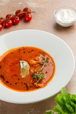 Beton arka planda beyaz plakalı Tom yum. Baharatlı Tayland yemeği ve masada malzemeler. Baharatlı Tayland yemeği.