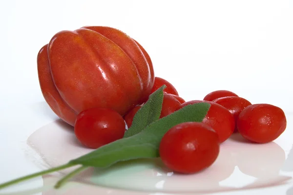 kırmızı domates yeşil yaprakları ile