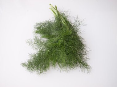 Dill beyaz arkaplanda izole edildi