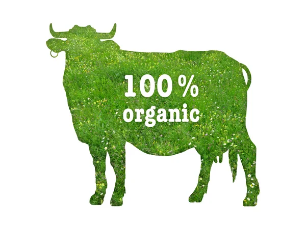 Symbol of organic beef — Stock Photo, Image