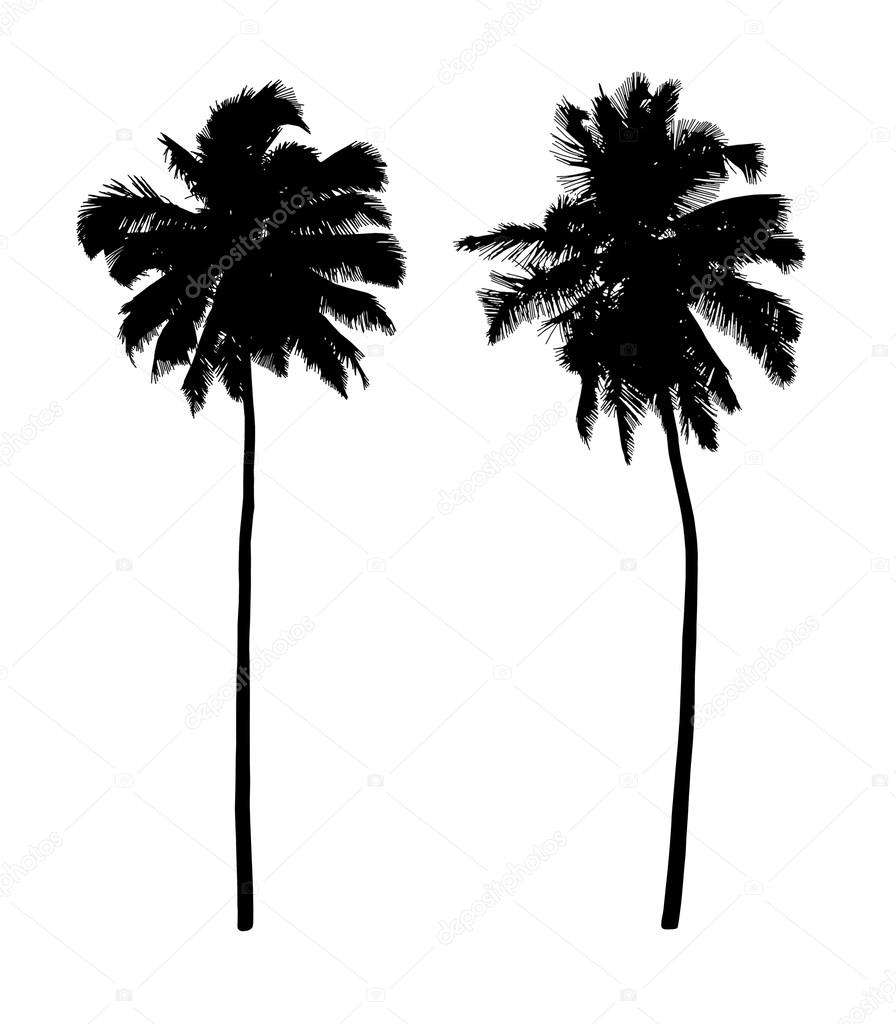 coconut trees realistic silhouettes