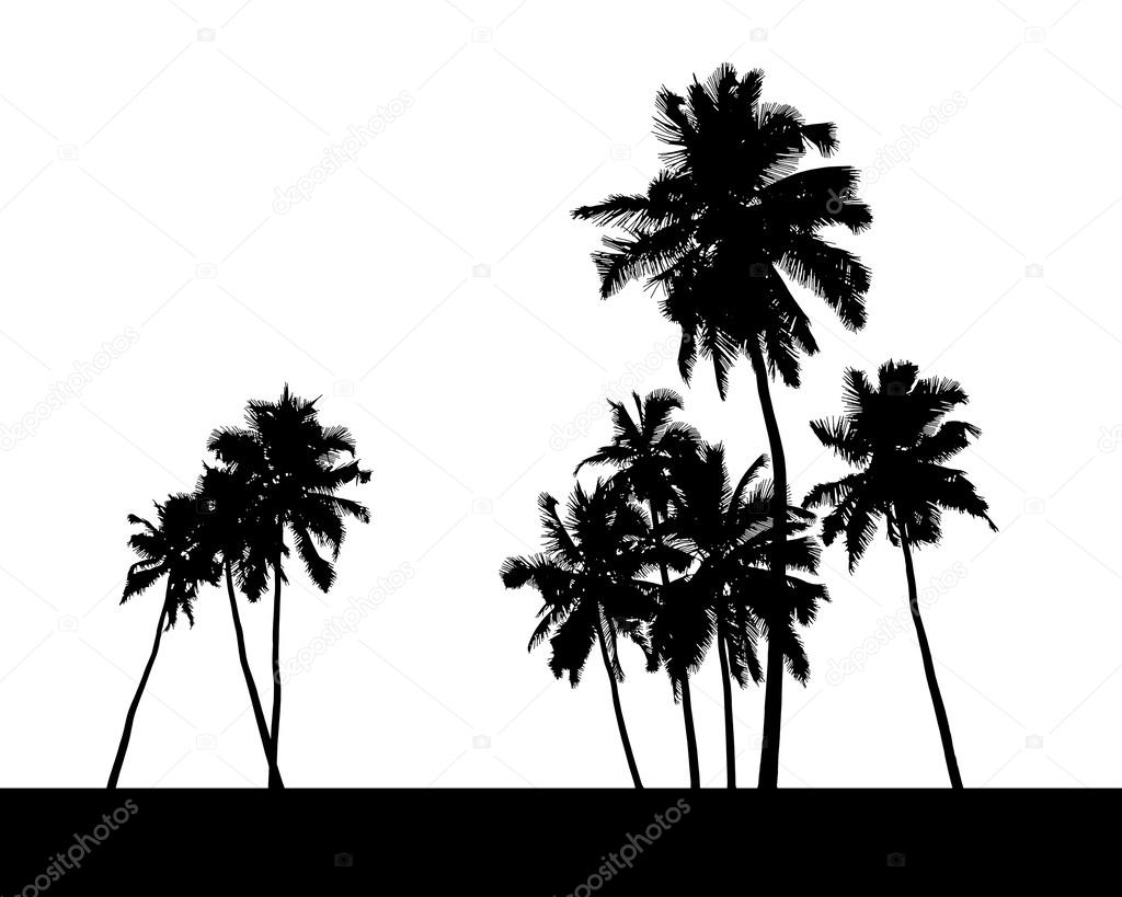 group of palm trees silhouette