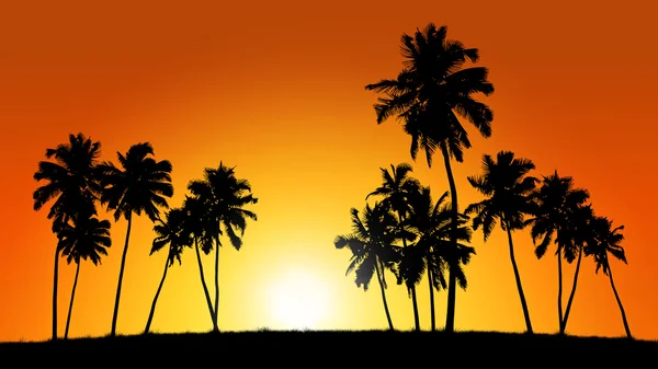 Gruppe von Kokospalmen vor dem Hintergrund des Sonnenuntergangs — Stockfoto