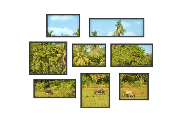 Várias janelas em uma parede branca com paisagem na selva — Fotografia de Stock