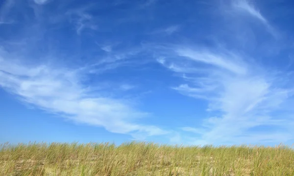 Steppe maisema sininen taivas yläpuolella — kuvapankkivalokuva