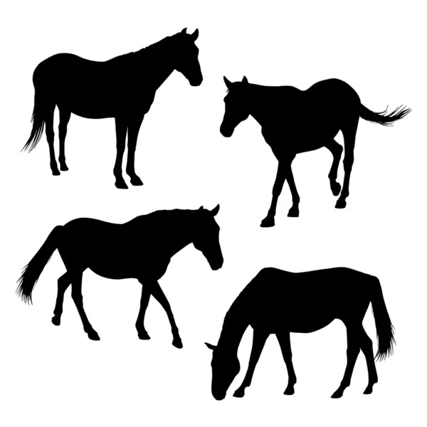 Horses silhouettes set 2 — Stock Photo, Image