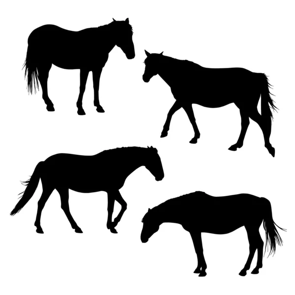 Koně siluety sada 3 — Stock fotografie