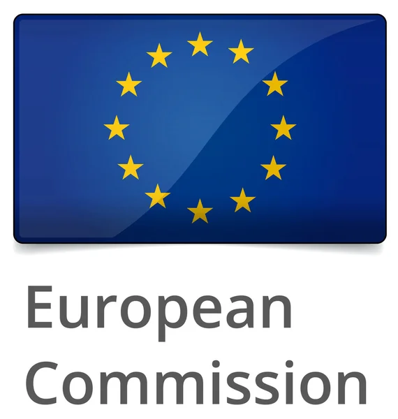 Commissione europea — Vettoriale Stock