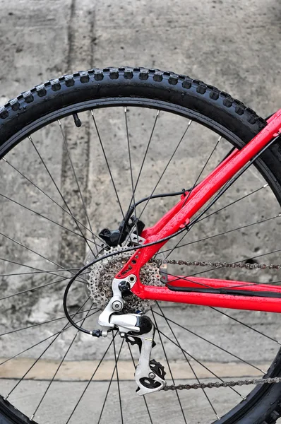 Cassetta posteriore per bici sulla ruota con catena — Foto Stock