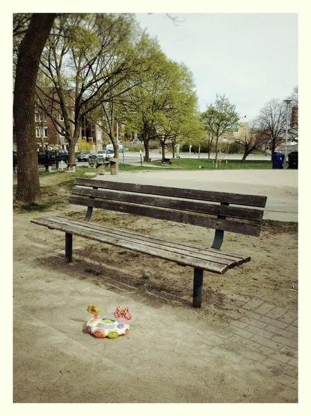 Esdoorn bladeren op de grond — Stockfoto