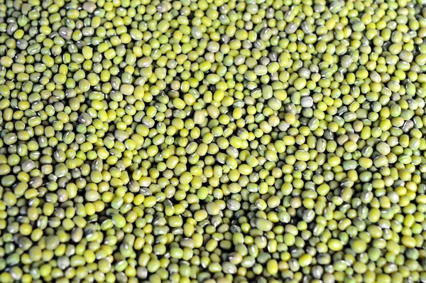 Mung beans (vigna radiata) — Stock Photo, Image