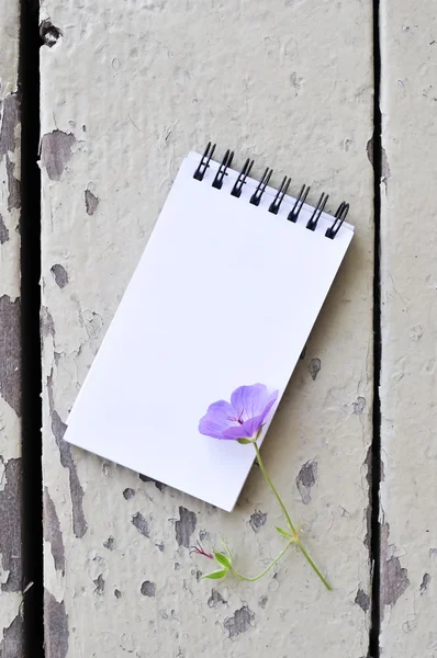blank notebook and violet flower on rustic plank wood background
