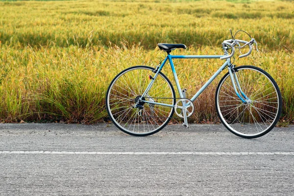 Vélo debout sur la route — Photo