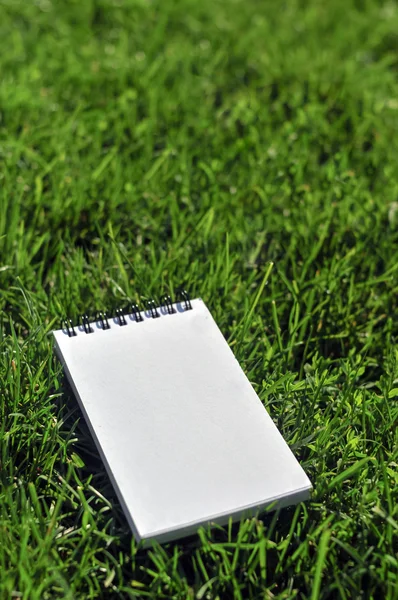 Cuaderno en blanco en el campo de hierba —  Fotos de Stock