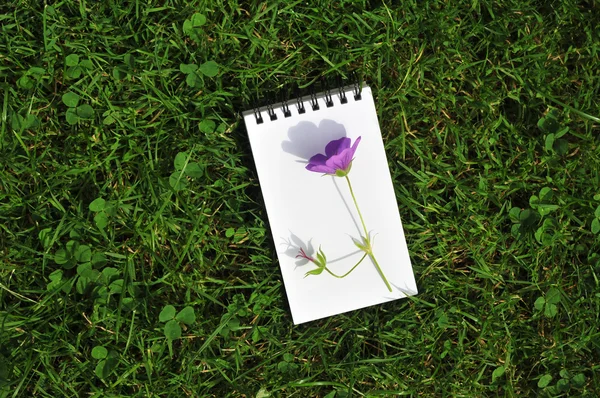 Blank notebook with violet flower on grass field — Stock Photo, Image