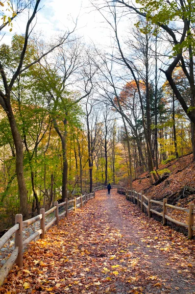 Sentier de randonnée d'automne — Photo