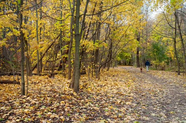 Autumn hiking trail
