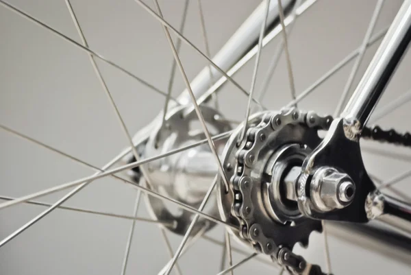 Bicycle rear wheel with chain & sprocket — Stock Photo, Image