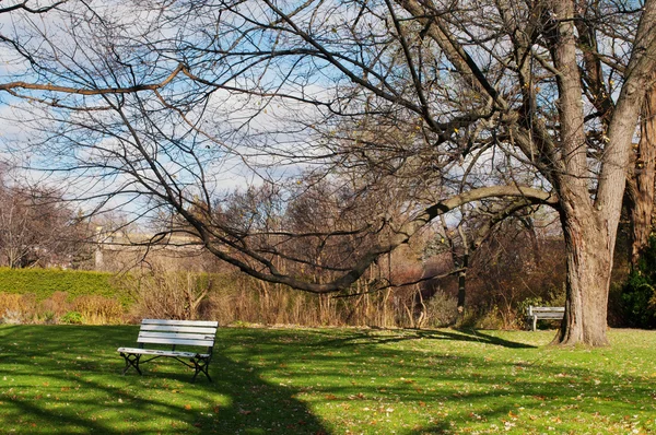 Bank in het park — Stockfoto