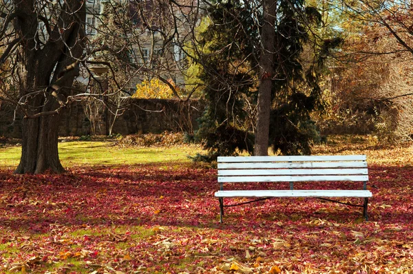 Bank im Park — Stockfoto