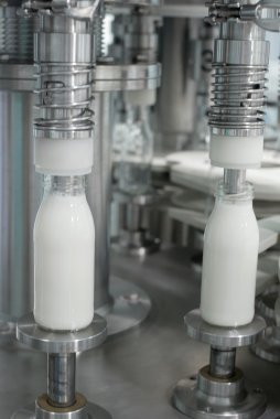 otomatik şişeleme tesisi